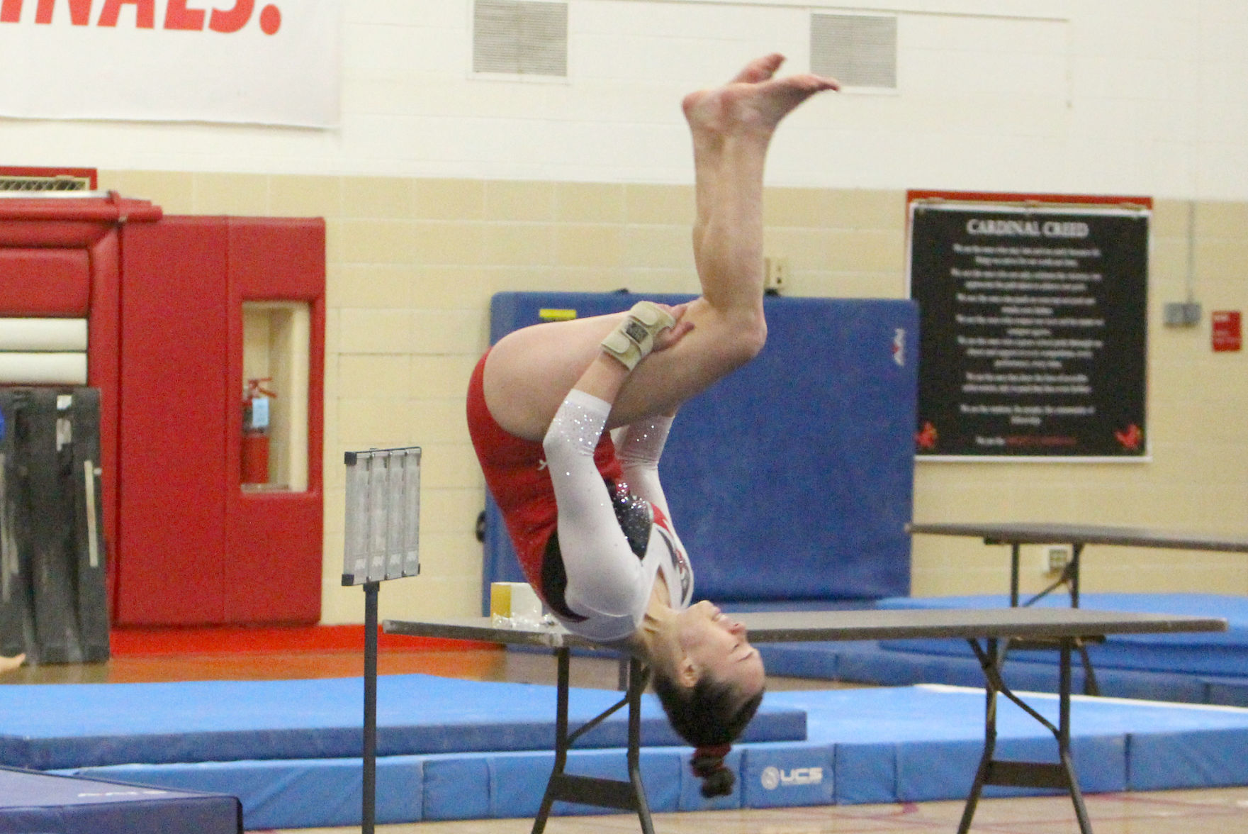 Big Rivers Conference Gymnastics Triangular at Chippewa Falls 12-12-19